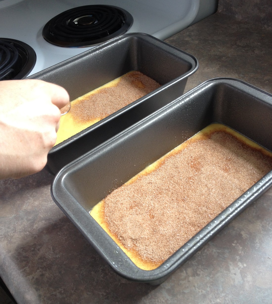 Cinnamon Loaf Cake - 2